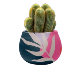 Thoughtfully decore image